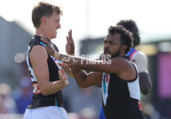 AFL 2025 Round 08 - Western Bulldogs v Port Adelaide - A-59143396