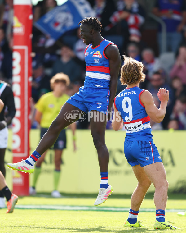 AFL 2025 Round 08 - Western Bulldogs v Port Adelaide - A-59143406