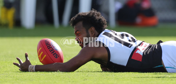 AFL 2025 Round 08 - Western Bulldogs v Port Adelaide - A-59143418