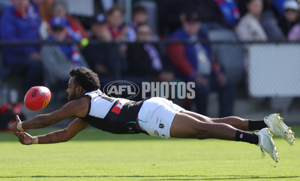 AFL 2025 Round 08 - Western Bulldogs v Port Adelaide - A-59143419