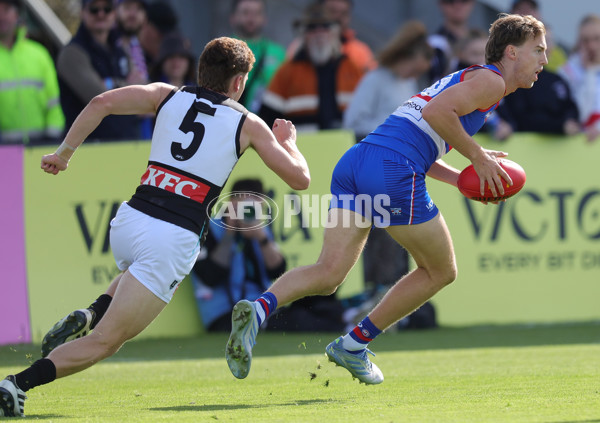 AFL 2025 Round 08 - Western Bulldogs v Port Adelaide - A-59143423