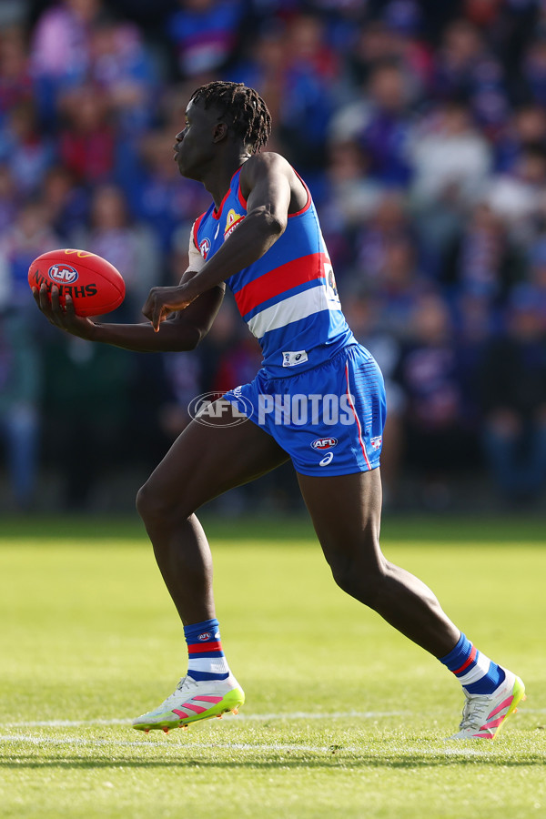 AFL 2025 Round 08 - Western Bulldogs v Port Adelaide - A-59143456