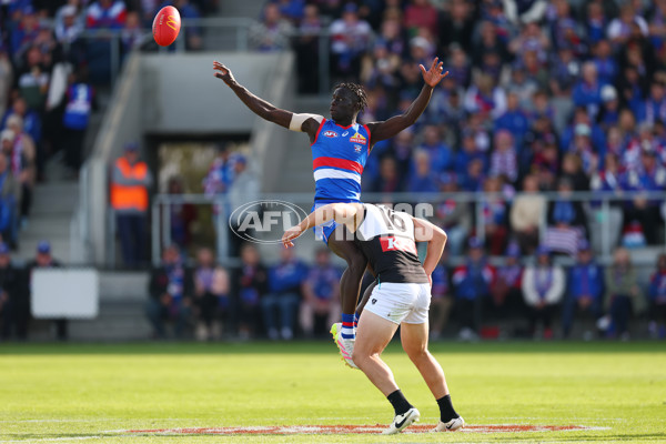 AFL 2025 Round 08 - Western Bulldogs v Port Adelaide - A-59143457