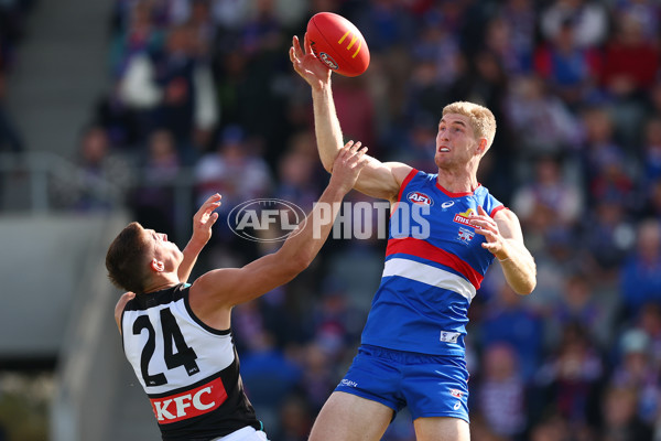 AFL 2025 Round 08 - Western Bulldogs v Port Adelaide - A-59143467