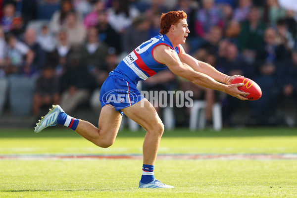 AFL 2025 Round 08 - Western Bulldogs v Port Adelaide - A-59143468