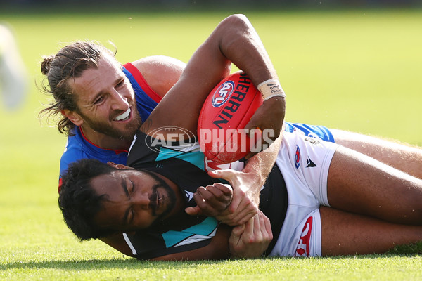 AFL 2025 Round 08 - Western Bulldogs v Port Adelaide - A-59143469