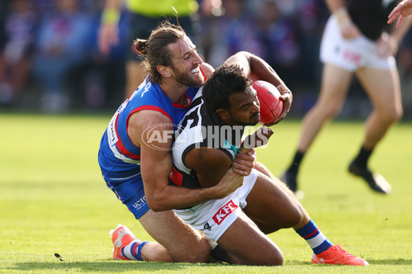 AFL 2025 Round 08 - Western Bulldogs v Port Adelaide - A-59143470