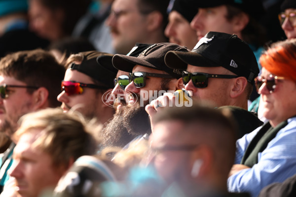 AFL 2025 Round 08 - Western Bulldogs v Port Adelaide - A-59143472