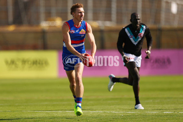 AFL 2025 Round 08 - Western Bulldogs v Port Adelaide - A-59144001