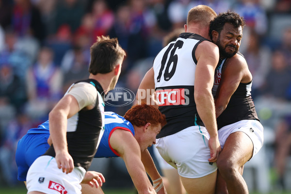 AFL 2025 Round 08 - Western Bulldogs v Port Adelaide - A-59144029
