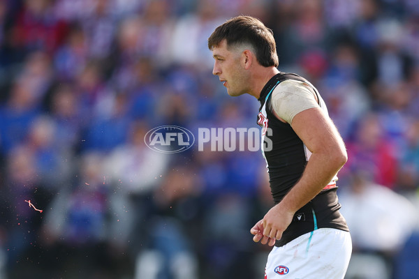 AFL 2025 Round 08 - Western Bulldogs v Port Adelaide - A-59144036