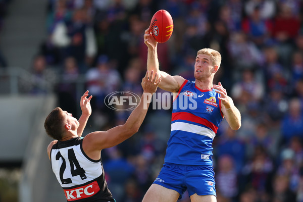 AFL 2025 Round 08 - Western Bulldogs v Port Adelaide - A-59144037
