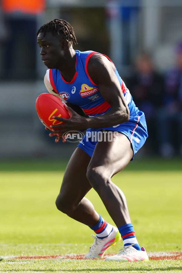 AFL 2025 Round 08 - Western Bulldogs v Port Adelaide - A-59144038