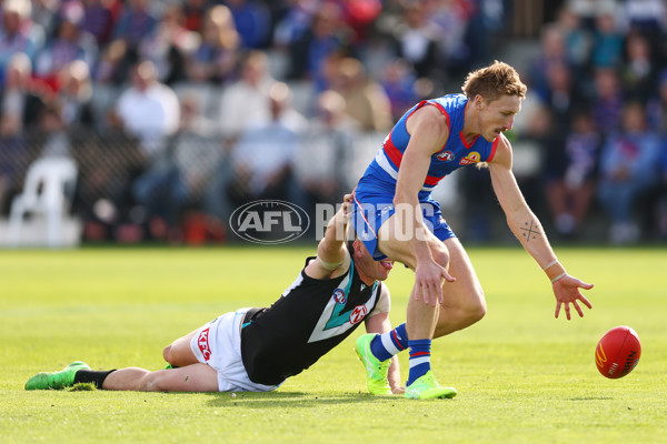 AFL 2025 Round 08 - Western Bulldogs v Port Adelaide - A-59144043