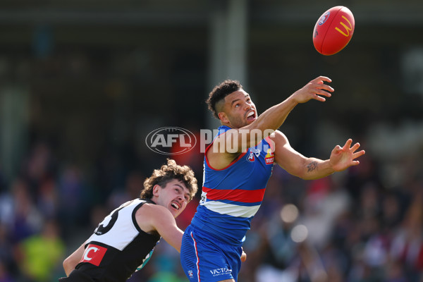 AFL 2025 Round 08 - Western Bulldogs v Port Adelaide - A-59144044