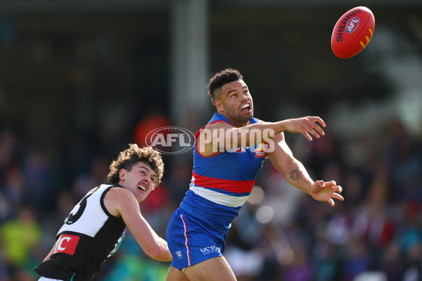 AFL 2025 Round 08 - Western Bulldogs v Port Adelaide - A-59144045