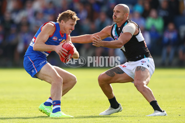 AFL 2025 Round 08 - Western Bulldogs v Port Adelaide - A-59144050