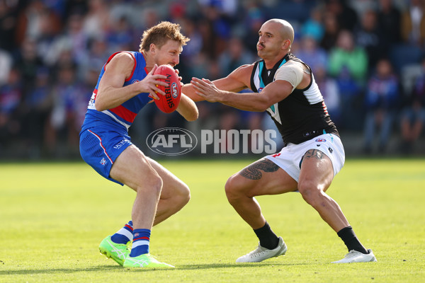 AFL 2025 Round 08 - Western Bulldogs v Port Adelaide - A-59144053