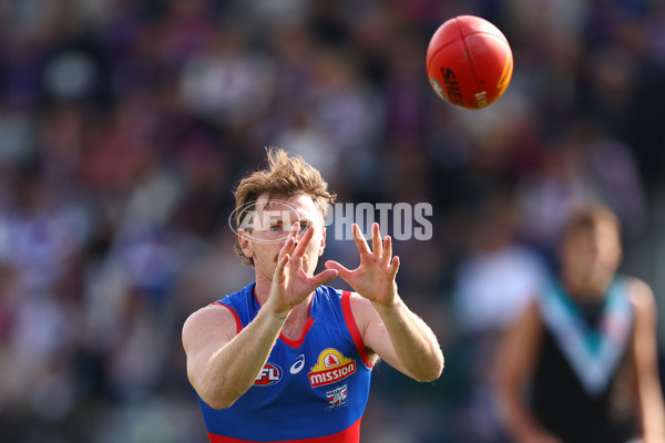 AFL 2025 Round 08 - Western Bulldogs v Port Adelaide - A-59144054