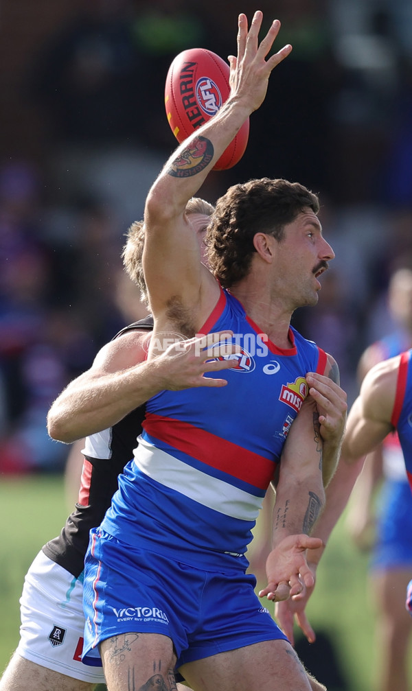 AFL 2025 Round 08 - Western Bulldogs v Port Adelaide - A-59144062