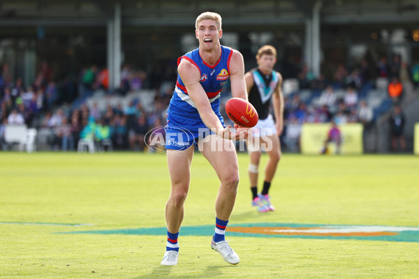 AFL 2025 Round 08 - Western Bulldogs v Port Adelaide - A-59144069
