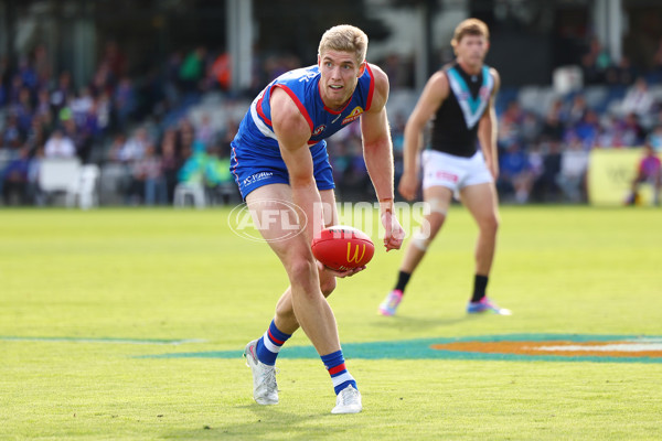 AFL 2025 Round 08 - Western Bulldogs v Port Adelaide - A-59144071
