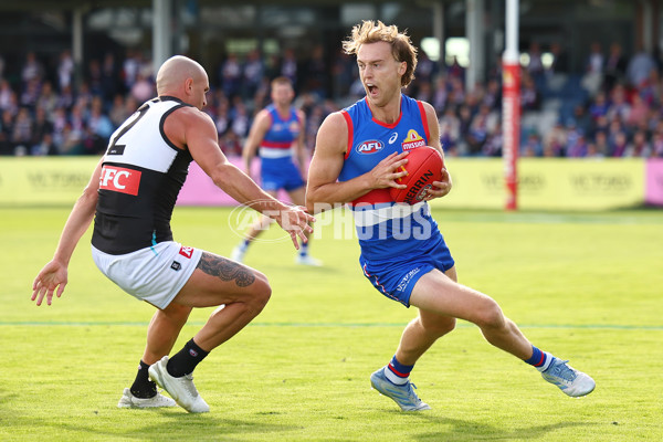 AFL 2025 Round 08 - Western Bulldogs v Port Adelaide - A-59144077