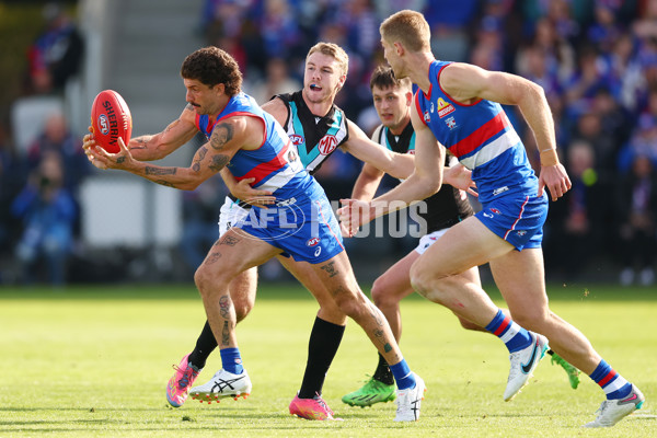 AFL 2025 Round 08 - Western Bulldogs v Port Adelaide - A-59144078