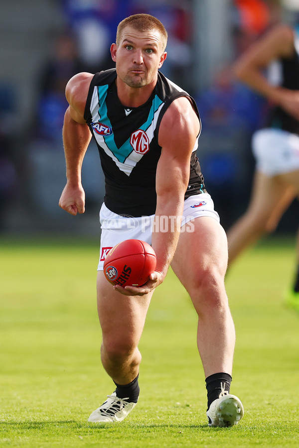 AFL 2025 Round 08 - Western Bulldogs v Port Adelaide - A-59144079
