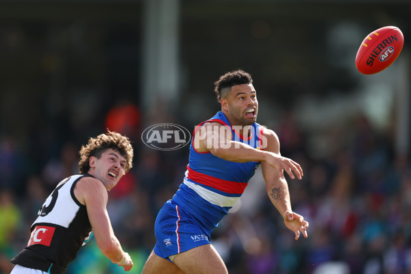 AFL 2025 Round 08 - Western Bulldogs v Port Adelaide - A-59145706