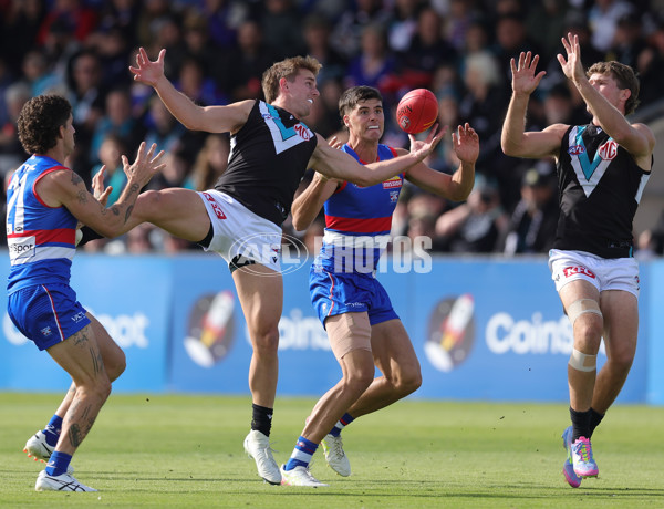 AFL 2025 Round 08 - Western Bulldogs v Port Adelaide - A-59145722