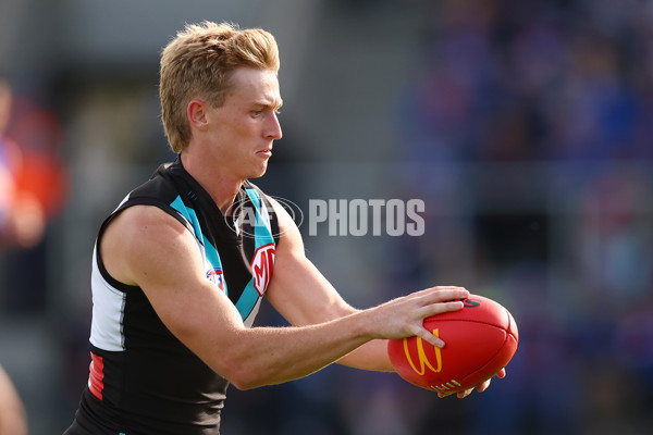 AFL 2025 Round 08 - Western Bulldogs v Port Adelaide - A-59145731