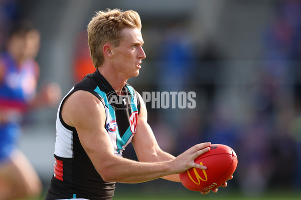 AFL 2025 Round 08 - Western Bulldogs v Port Adelaide - A-59145733