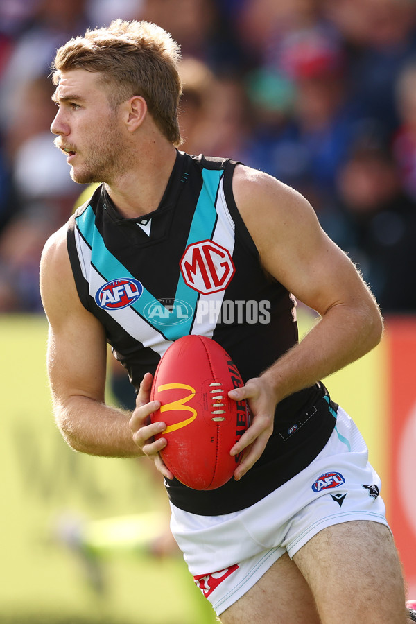 AFL 2025 Round 08 - Western Bulldogs v Port Adelaide - A-59145741