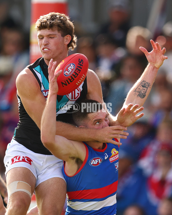 AFL 2025 Round 08 - Western Bulldogs v Port Adelaide - A-59145743