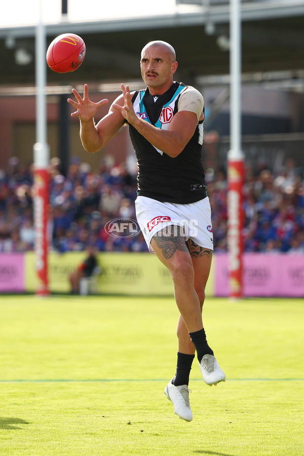 AFL 2025 Round 08 - Western Bulldogs v Port Adelaide - A-59145749
