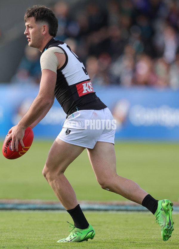 AFL 2025 Round 08 - Western Bulldogs v Port Adelaide - A-59145758