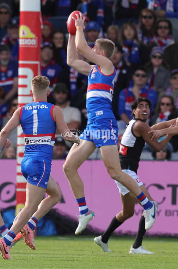 AFL 2025 Round 08 - Western Bulldogs v Port Adelaide - A-59145761