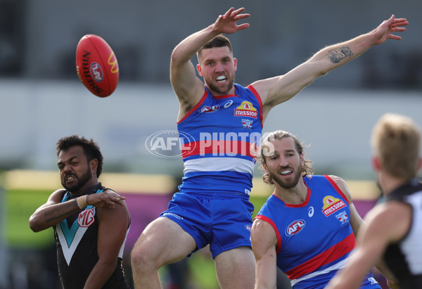 AFL 2025 Round 08 - Western Bulldogs v Port Adelaide - A-59145763