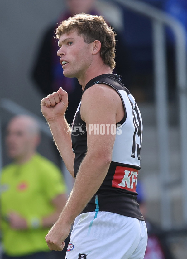 AFL 2025 Round 08 - Western Bulldogs v Port Adelaide - A-59145766