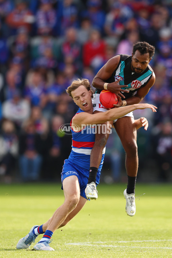AFL 2025 Round 08 - Western Bulldogs v Port Adelaide - A-59145798