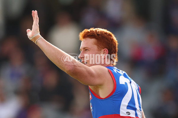 AFL 2025 Round 08 - Western Bulldogs v Port Adelaide - A-59145799