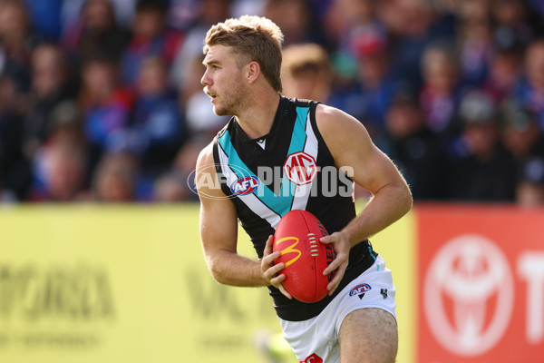 AFL 2025 Round 08 - Western Bulldogs v Port Adelaide - A-59146612