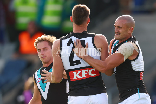AFL 2025 Round 08 - Western Bulldogs v Port Adelaide - A-59146614
