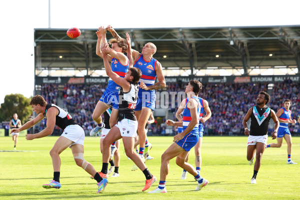 AFL 2025 Round 08 - Western Bulldogs v Port Adelaide - A-59146622