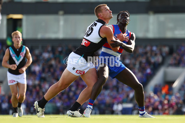 AFL 2025 Round 08 - Western Bulldogs v Port Adelaide - A-59146623