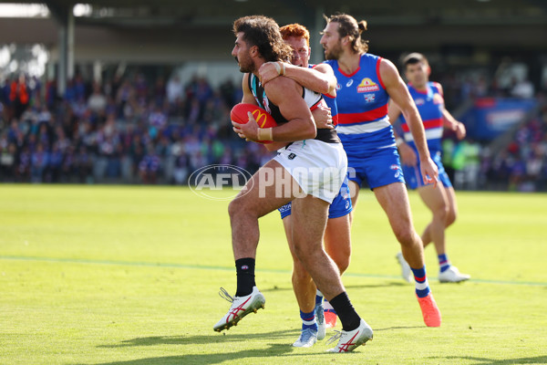 AFL 2025 Round 08 - Western Bulldogs v Port Adelaide - A-59146625