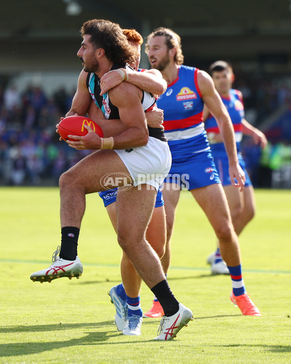 AFL 2025 Round 08 - Western Bulldogs v Port Adelaide - A-59146626