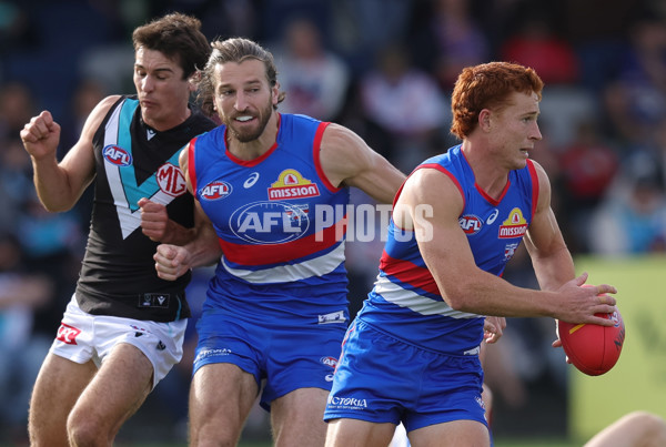 AFL 2025 Round 08 - Western Bulldogs v Port Adelaide - A-59146635