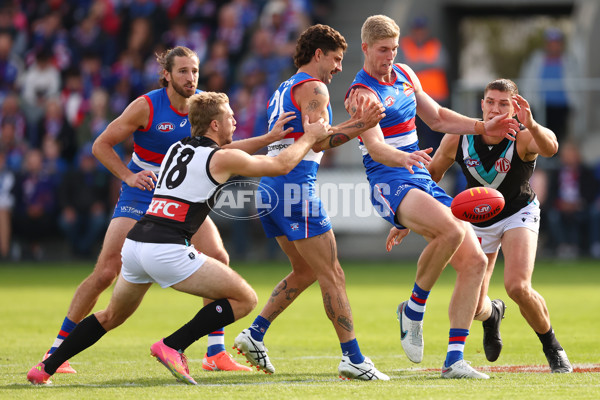 AFL 2025 Round 08 - Western Bulldogs v Port Adelaide - A-59146643